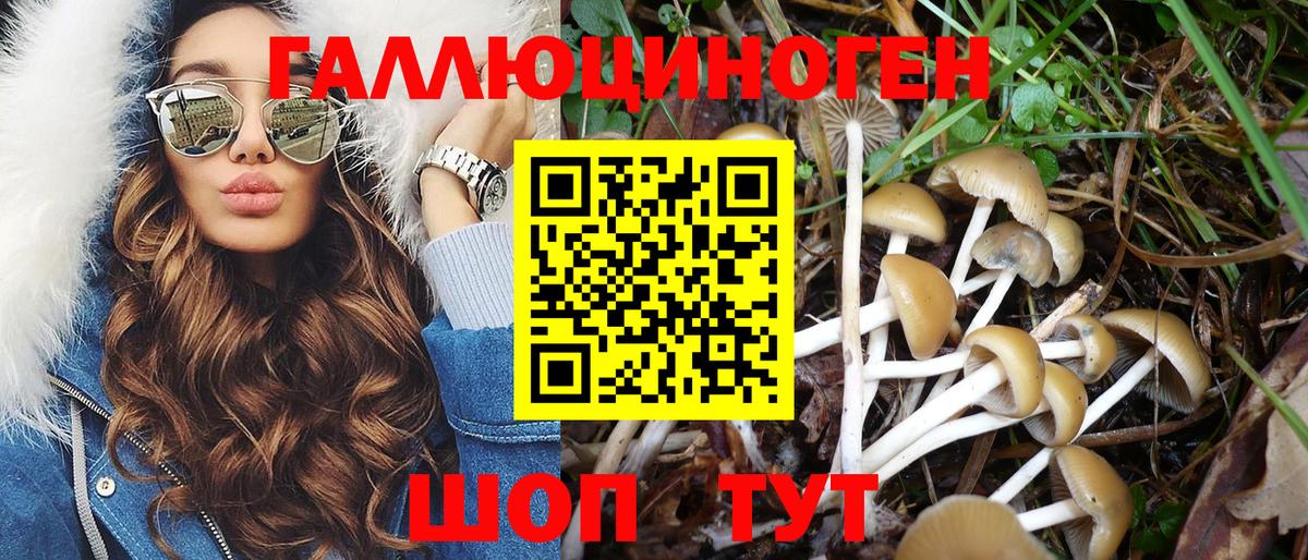 Галлюциногенные грибы мицелий  что такое наркотик  Вход с VPN  Дедовск  Псилоцибиновые грибы Magic Shrooms 